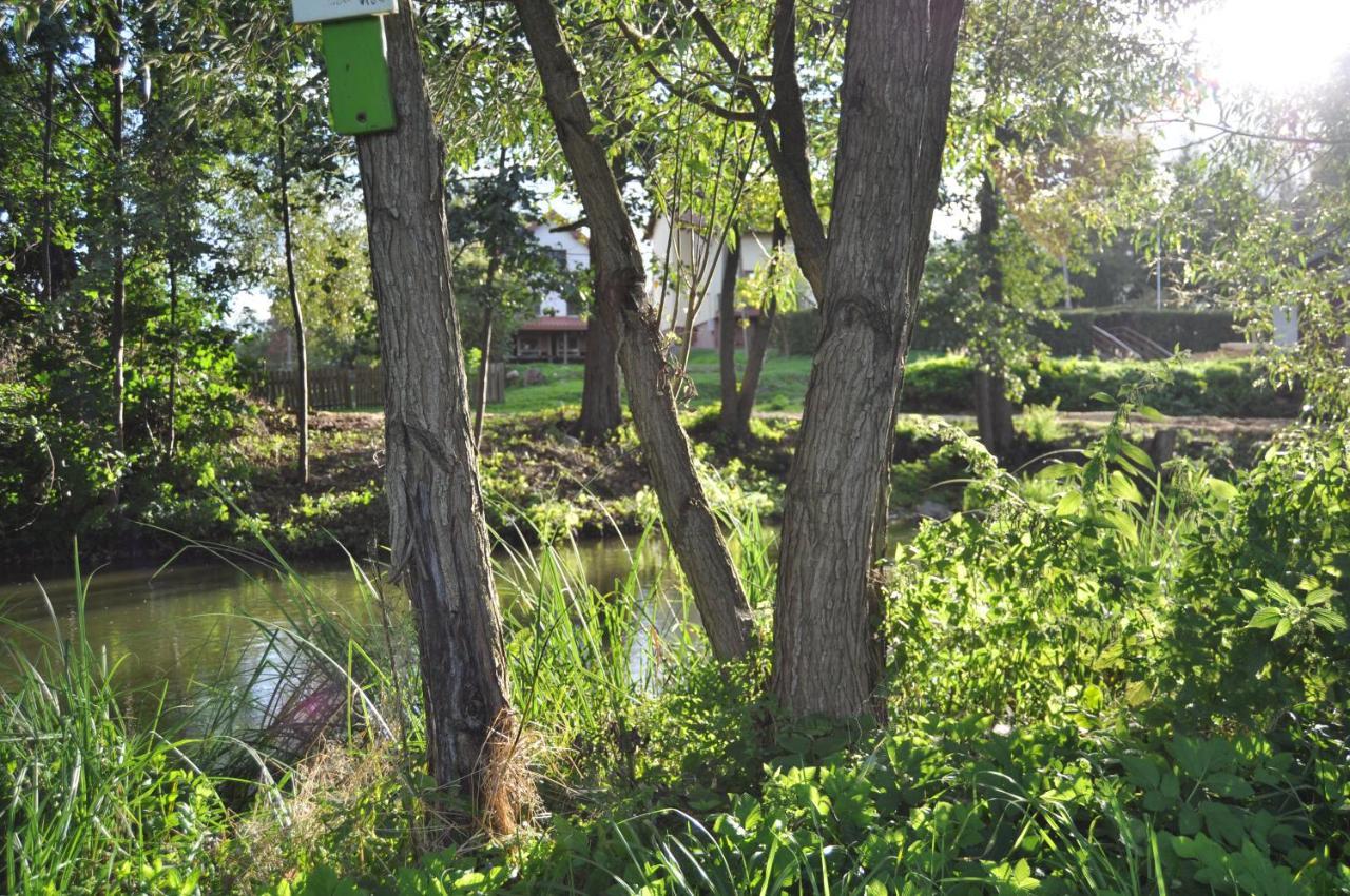Villa Mlyn Wodny Eko Hillar Rybno  Exterior foto