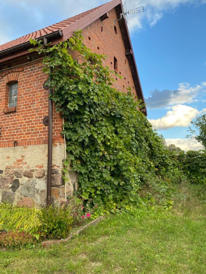 Villa Mlyn Wodny Eko Hillar Rybno  Exterior foto